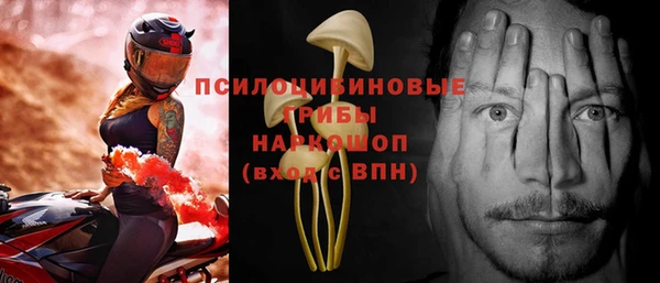 крисы Абинск