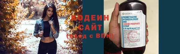 хмурый Абаза