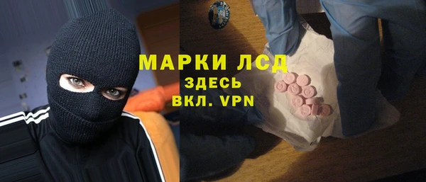 хмурый Абаза