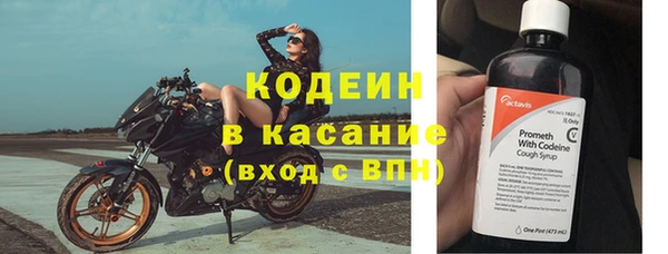 хмурый Абаза
