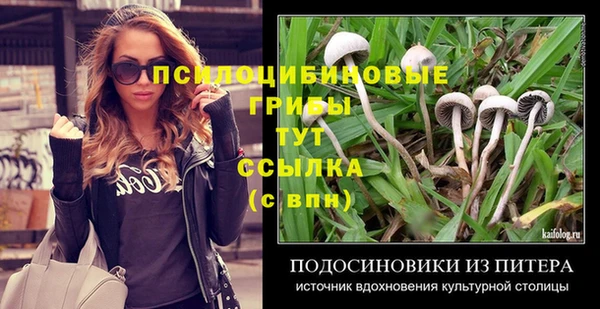 бошки Алексеевка
