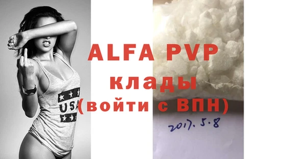 хмурый Абаза