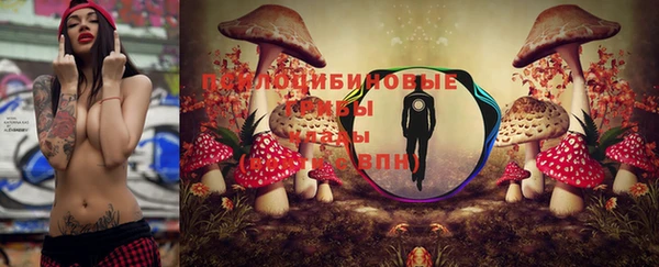 хмурый Абаза