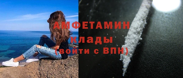 хмурый Абаза