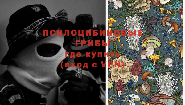 крисы Абинск