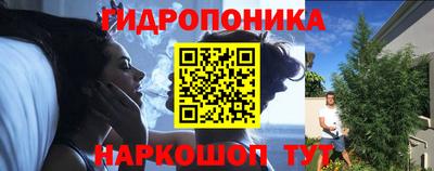 Альфа ПВП Новозыбков