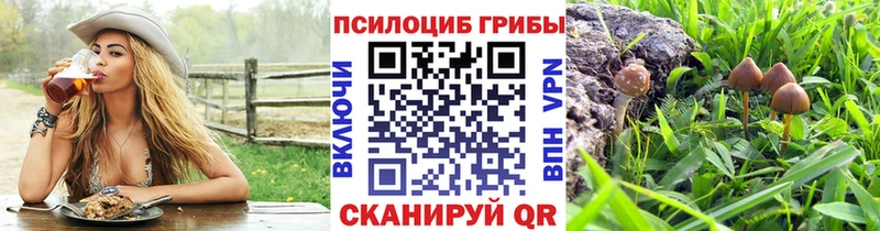 Псилоцибиновые грибы мицелий  Благовещенск 