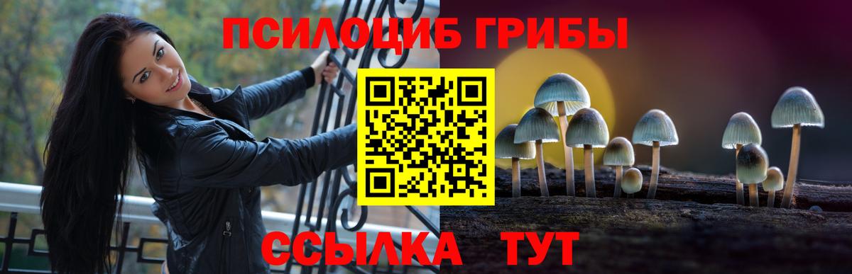 Псилоцибиновые грибы Cubensis  Вход с VPN  Псилоцибиновые грибы прущие грибы  Благовещенск 
